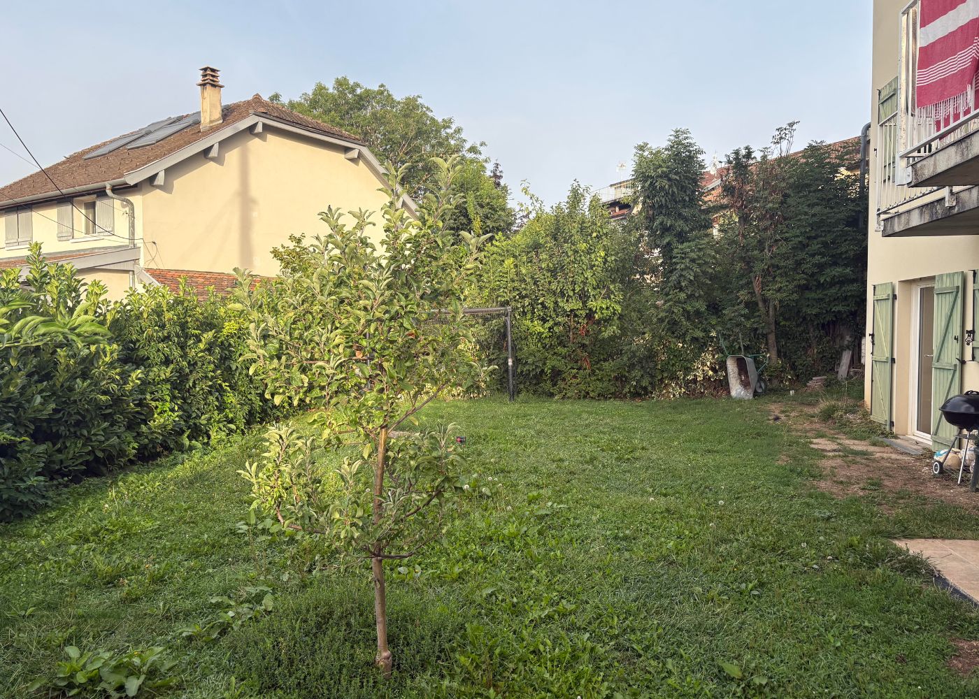 The garden